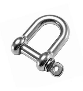 D Shackle Stainless Steel