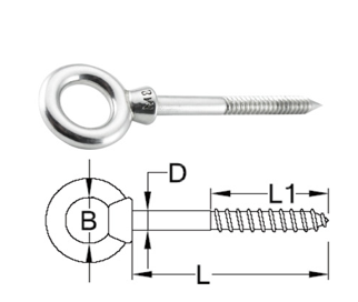 Stainless Steel Eye Bolt